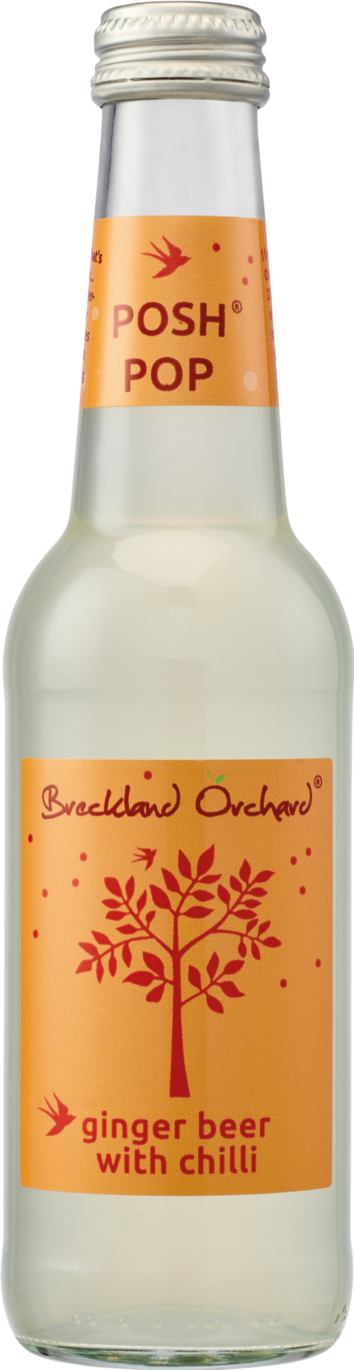 BRECKLAND ORCHARD Posh Pop - Ginger Beer & Chilli 275ml (Pack of 12)