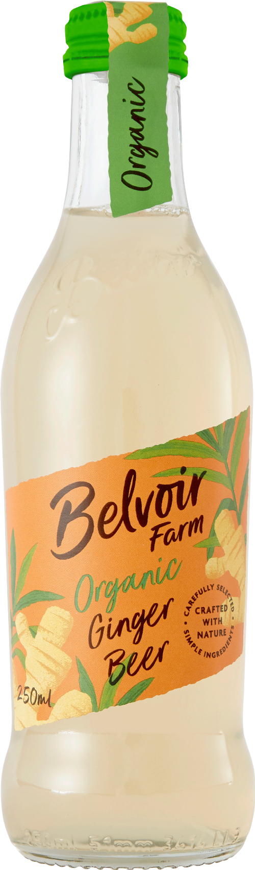 BELVOIR Organic Ginger Beer 25cl (Pack of 12)