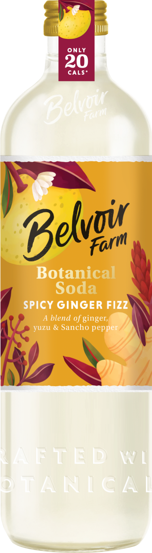 BELVOIR Botanical Mixers - Spicy Ginger Soda 50cl (Pack of 6)