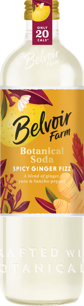 BELVOIR Botanical Mixers - Spicy Ginger Soda 50cl (Pack of 6)