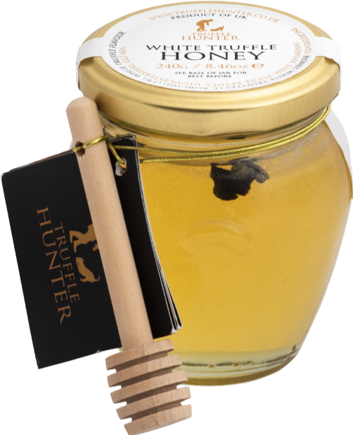 TRUFFLE HUNTER White Truffle Honey with Dipper 240g (Pack of 6)