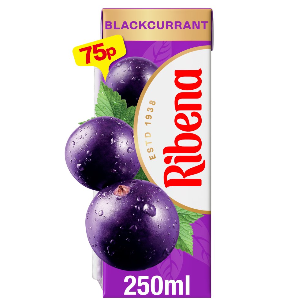 Ribena Blackcurrant Juice Drink Carton 250ml (Pack of 24)