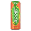 Boost Energy Exotic Fruits 250ml (Pack of 24)