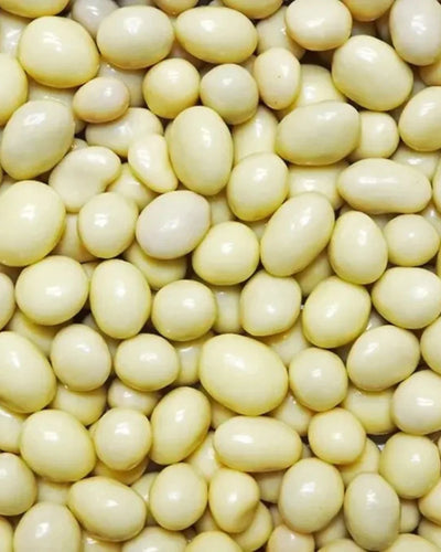 Carol Anne Yogurt Honeycomb Bites 250g Bag