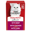 Gourmet Mon Petit Intense Fine Cuts 6 x 50g (Pack of 1)