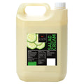 Lion Salad Cream 5 Litres (Pack of 1)