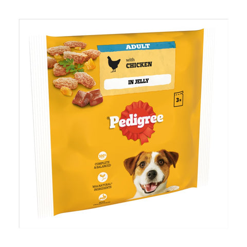 Pedigree Adult Wet Dog Food Pouches Chicken in Jelly 3 x 100g (Pack of 14)