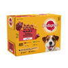 Pedigree Adult Wet Dog Food Pouches Mixed in Jelly 12 x 100g (Pack of 1)