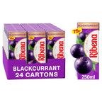 Ribena Blackcurrant Juice Drink 250ml (Pack of 24)