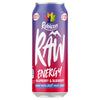 Rubicon Raw Energy Raspberry & Blueberry 500ml (Pack of 12)