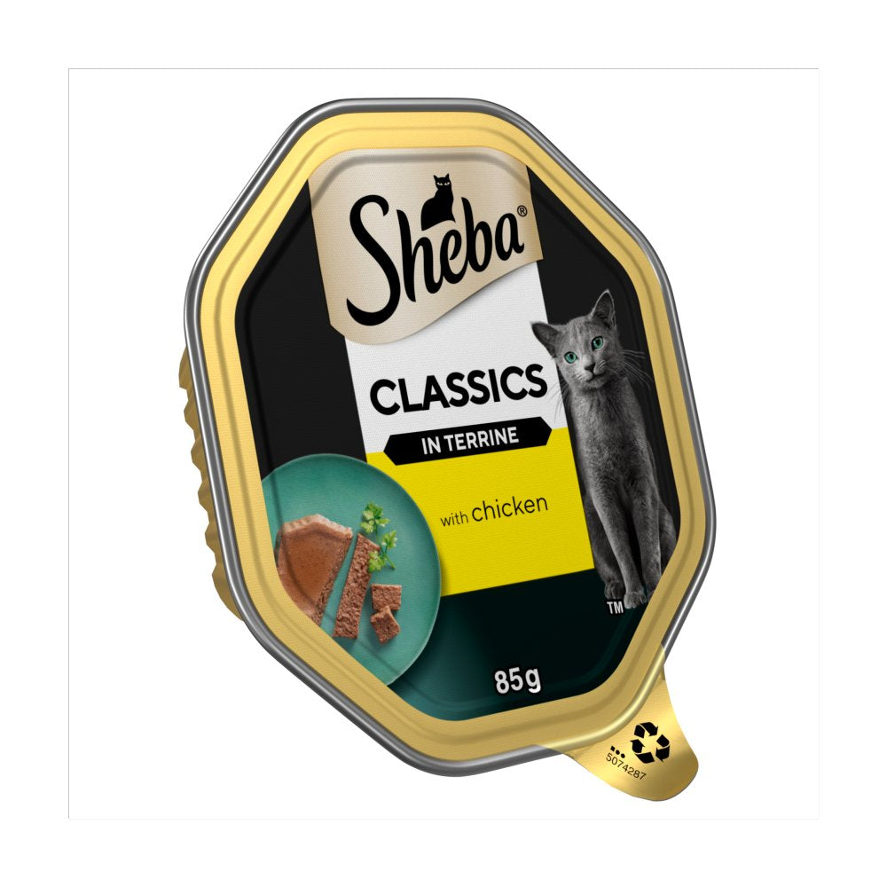 Sheba Classics Wet Cat Food Tray Chicken in Terrine 85g (Pack of 22)