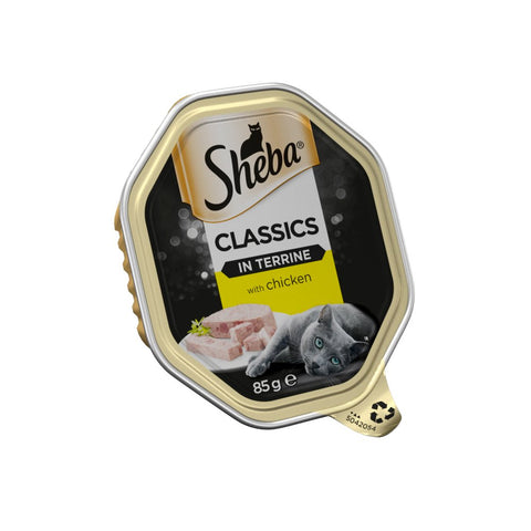 Sheba Classics Wet Cat Food Tray Chicken in Terrine 85g (Pack of 22)
