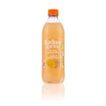 Radnor Spring Mango And Passionfruit 500ml (Pack of 12)