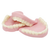 Zorba Online Dentures 3kg Bag