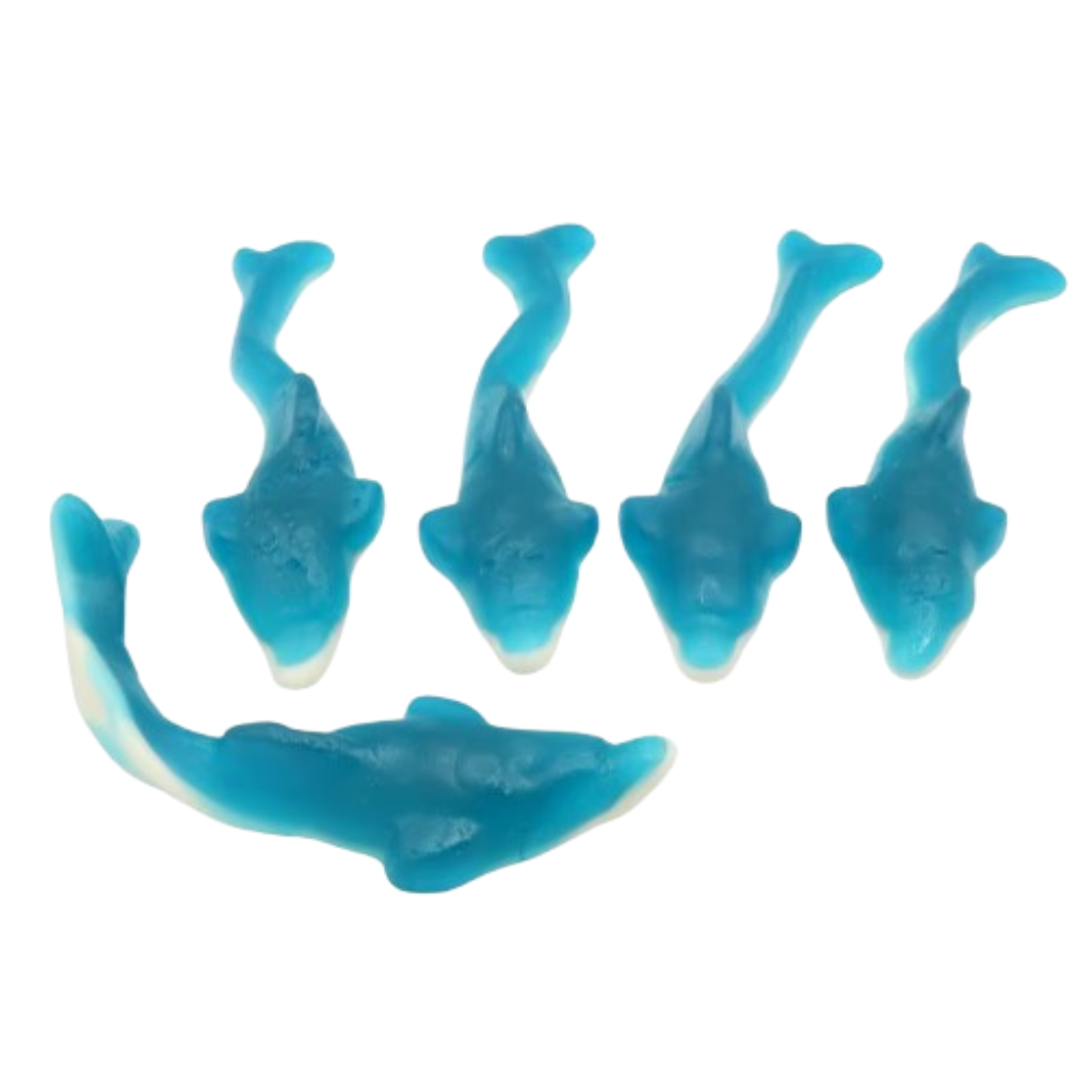 Zorba Online Giant Dolphins 3kg Bag