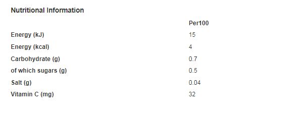 Ribena Light Blackcurrant 500ml  (Pack of 12)