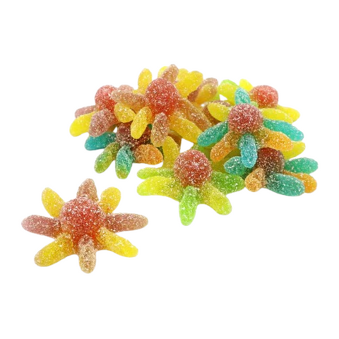 Zorba Online Sour Octopus 100g Bag